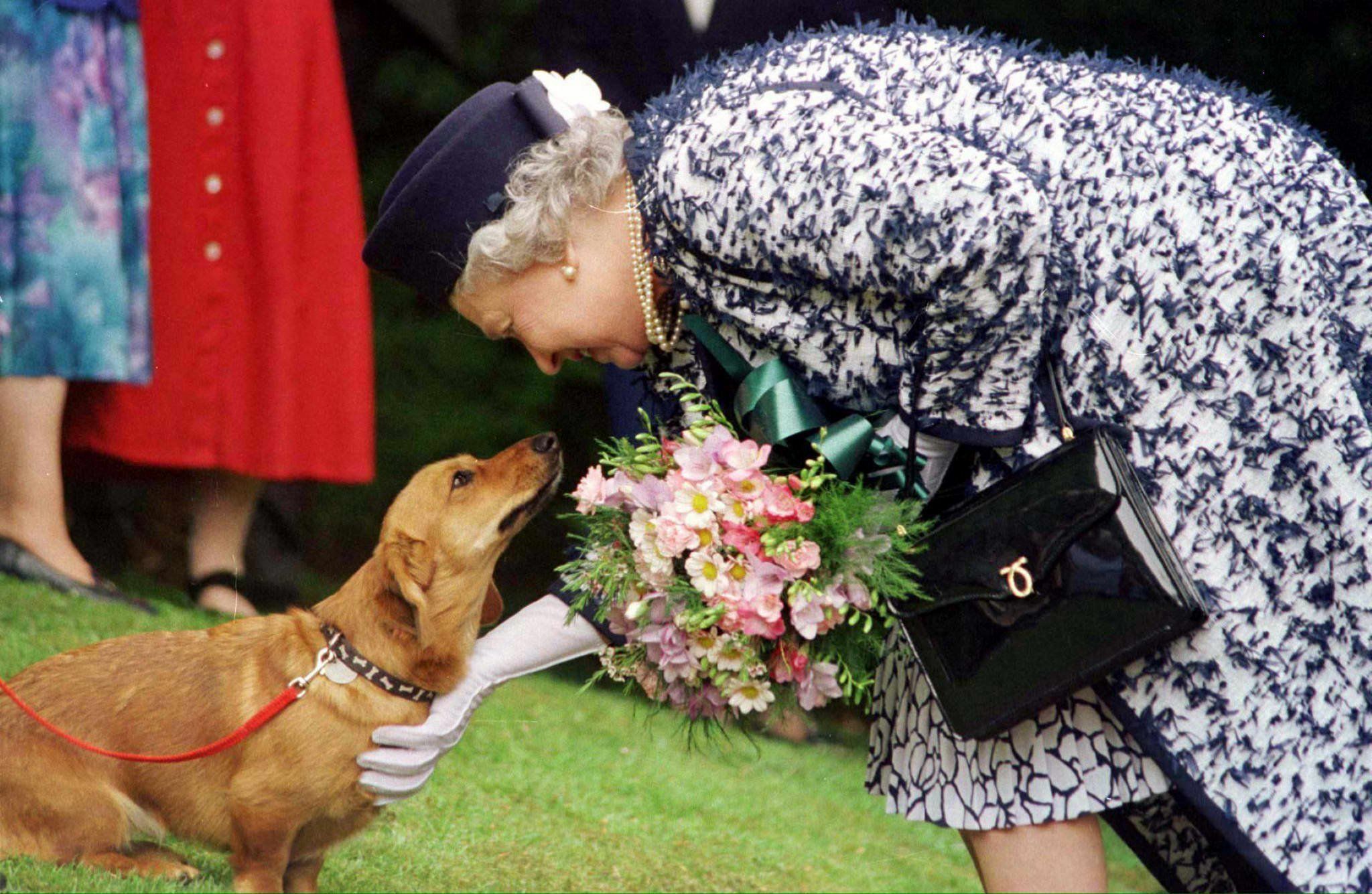 Queen verkauft Hunde-Parfüm – Duftnote «Küstenspaziergang»