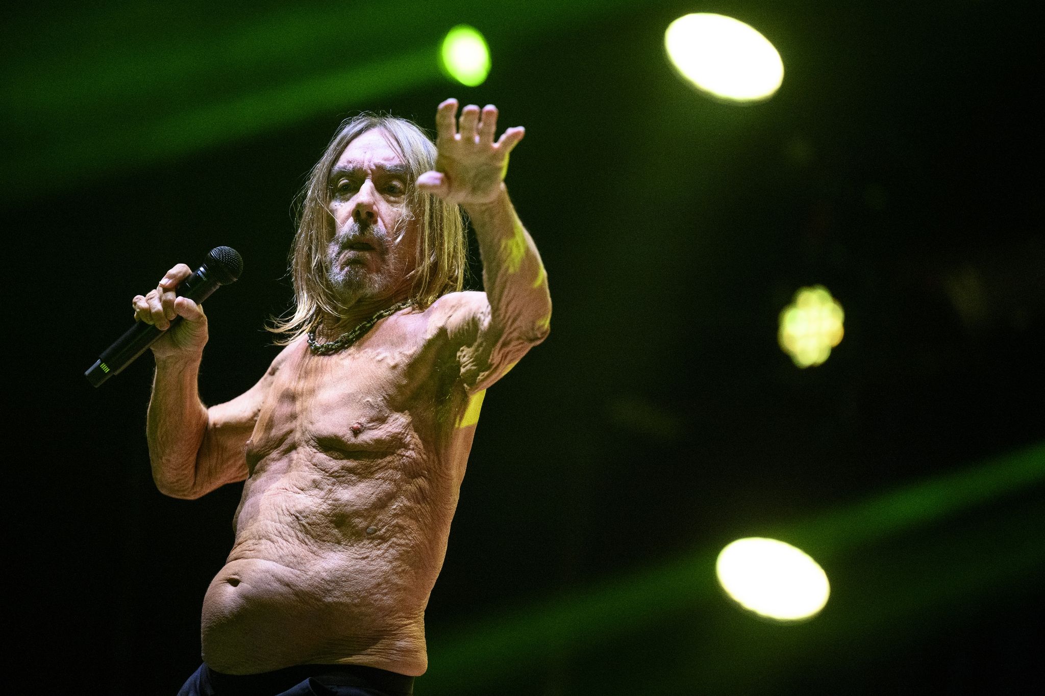 Iggy Pop kündigt neues Album an: «Musik wird euch umhauen»