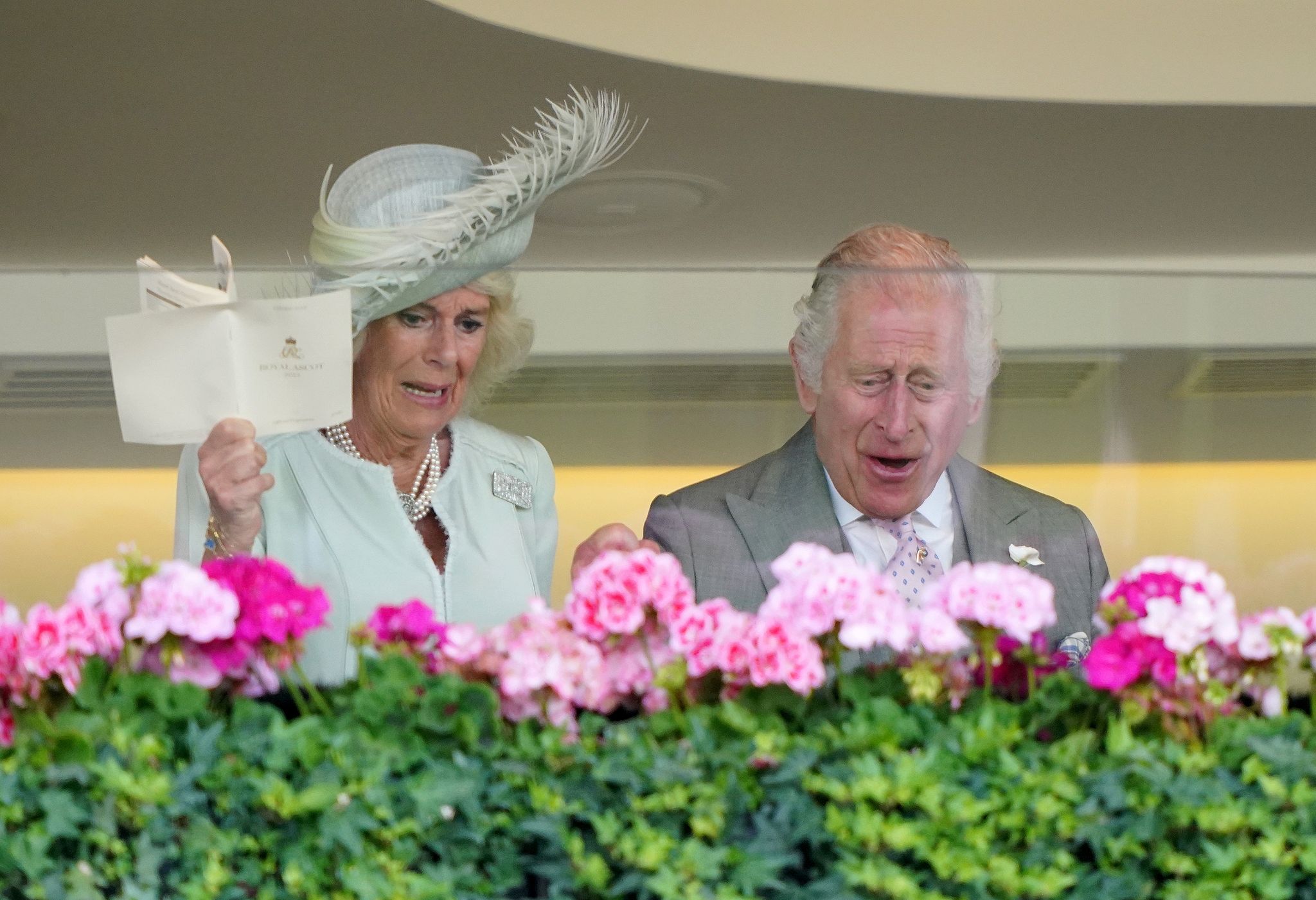 Pferd von König Charles gewinnt Rennen in Ascot