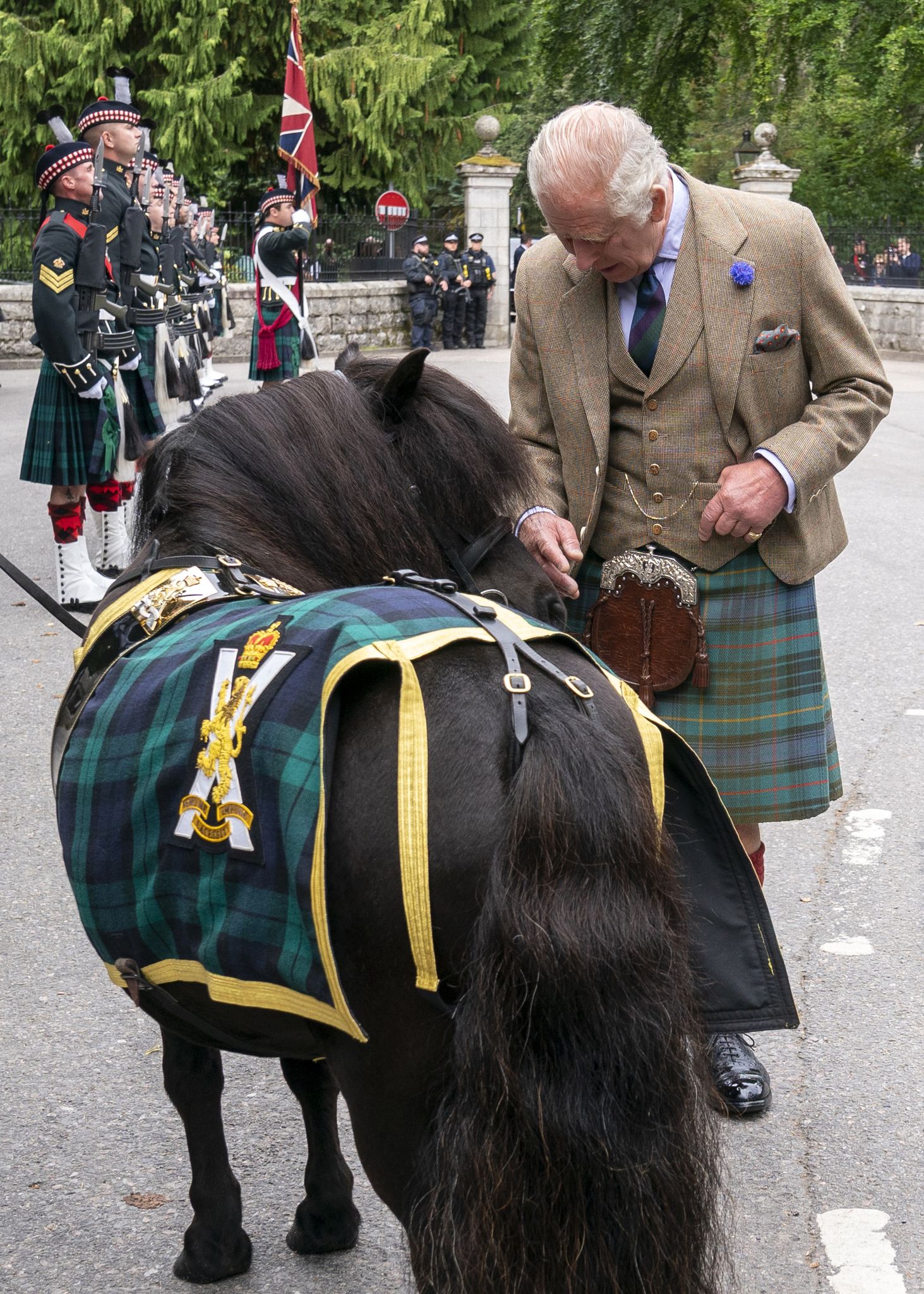 König Charles und das besondere Shetlandpony