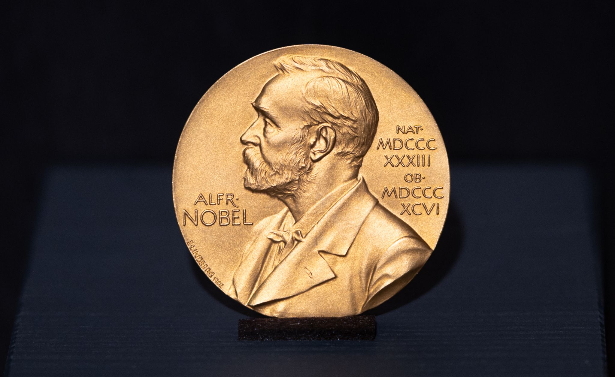 Wer bekommt den Literaturnobelpreis?